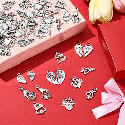70Pcs 14 Styles Tibetan Style Alloy Pendants&nbsp;FIND-CJ0001-88