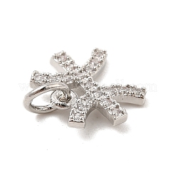 Brass Micro Pave Cubic Zirconia Charms&nbsp;KK-E077-02P-03