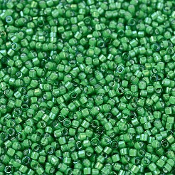 MIYUKI Delica Beads&nbsp;SEED-MY11-DB1787