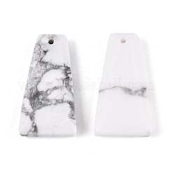 Natural Howlite Pendants&nbsp;G-Q601-10F