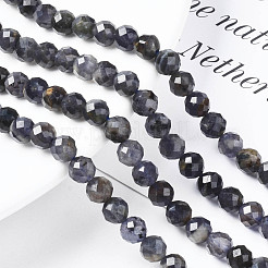 Natural Iolite/Cordierite/Dichroite Beads Strands&nbsp;G-T108-59
