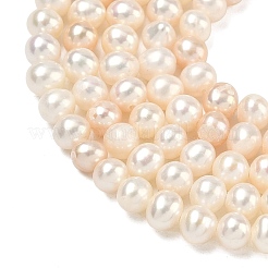 Natural Cultured Freshwater Pearl Beads Strands&nbsp;PEAR-L034-06B