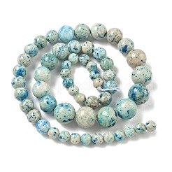 Natural Fossil Graduated Beads Strands&nbsp;G-F830-A03-01E