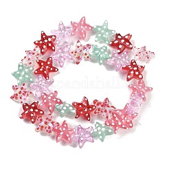 Handmade Lampwork Beads Strands&nbsp;LAMP-I027-09A