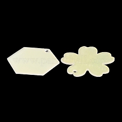 Acrylic Pendants&nbsp;X1-OACR-B009-01C
