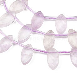 Natural Amethyst Beads Strands&nbsp;G-P607-A05-01