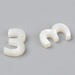 Natural White Shell Mother of Pearl Shell Charms&nbsp;SSHEL-R048-004-03