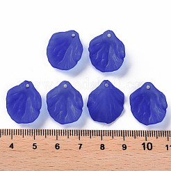 Transparent Frosted Acrylic Pendants&nbsp;MACR-S371-01A-751