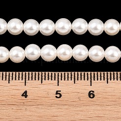 Electroplated Shell Pearl Beads Strands&nbsp;BSHE-C011-02