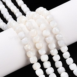 天然ホワイトシェルビーズ連売り  多面カット  キューブ  4~5x4~5x4~5mm  穴：0.8mm  約92~105個/連  14.96~15.35インチ（38~39cm）&nbsp;SSHEL-N038-60