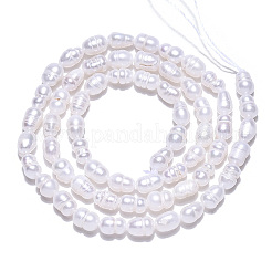 天然養殖淡水パールビーズ連売り  ケシパールバロックビーズ  ライス  貝殻色  5~6x3.5~4mm  穴：0.7~0.8mm  約61~65個/連  13.78インチ（35cm）&nbsp;PEAR-N012-03K