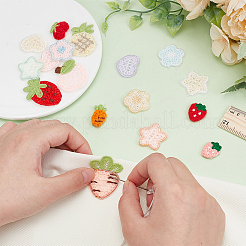 Strawberry/Carrot/Star Embroidery Cloth Sew on Appliques&nbsp;PATC-WH0008-135