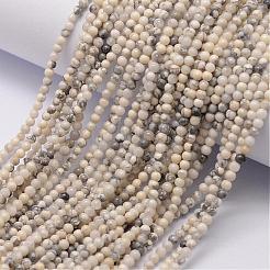 Natural Howlite Bead Strands&nbsp;G-K146-05-2mm