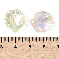 Transparent Acrylic Pendants&nbsp;TACR-F009-08