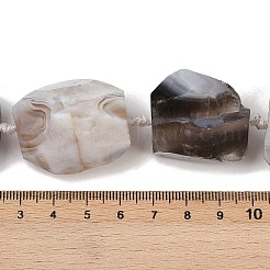 未加工の天然ボツワナアゲートビーズ連売り  ナゲット  25~40x20~23x17~28mm  穴：1.5mm  約11~12個/連  17.09''~17.20''（43.4~43.7センチメートル）&nbsp;G-S396-04A