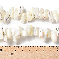 1連売り染め天然トロカスシェルビーズ連売り  ナゲット  フローラルホワイト  9~21x5~7x6~8mm  穴：1.2mm  約54~67個/連  14.76~15.24インチ（37.5~38.7cm）&nbsp;SSHEL-PA0001-01B