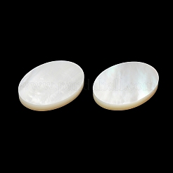 Natural White Shell Cabochons&nbsp;SSHEL-M022-03