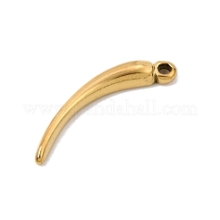 304 Stainless Steel Pendants&nbsp;SA-CBA0563-19G