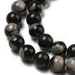 Natural Black Fossil Coral Beads Strands&nbsp;G-R494-A04-03