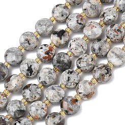 Natural Syenite Beads Strands&nbsp;G-K389-B86-01