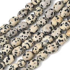 Natural Dalmatian Jasper Beads Strands&nbsp;G-C286-A09
