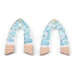 Transparent Resin & White Wood Pendants&nbsp;RESI-TAC0021-82