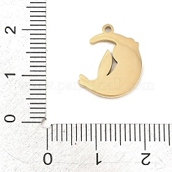 304 Stainless Steel Enamel Pendants&nbsp;STAS-P447-05C-G