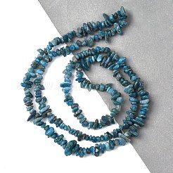 Natural Apatite Beads Strands&nbsp;G-F666-01B-02-01