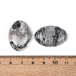 Natural Map Stone Cabochons&nbsp;G-T144-75
