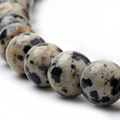 Natural Dalmatian Jasper Beads Strands&nbsp;G-S259-24-6mm