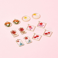 12 個 6 スタイル無色透明エポキシレジンペンダント  内側の花と縁に金メッキの合金ループチャーム  混合図形  22~30x14.5~26.5x3~3.8mm  穴：1.4mm  2個/スタイル&nbsp;RESI-FS0001-88A