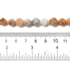 Natural Fossil Coral Beads Strands&nbsp;G-K382-A07-02