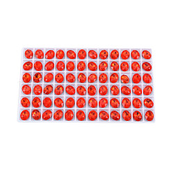 K9 Glass Rhinestone Cabochons&nbsp;MRMJ-N029-09-02