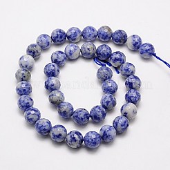Natural Blue Spot Jasper Beads Strands&nbsp;G-G542-6mm-01