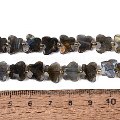 天然石ラブラドライトビーズ連売り  蝶  シードビーズで  7~8.5x9.5~11x3.5~5mm  穴：1~1.2mm  約41~45個/連  14.96~15.16インチ（38~38.5cm）&nbsp;G-N371-10A-01