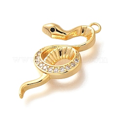 Brass Micro Pave Cubic Zirconia Pendants&nbsp;KK-K294-17G-01