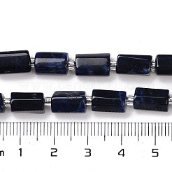 天然石ソーダライトビーズ連売り  シードビーズで  多面カット  コラム  8.5~11x5.5~6.5mm  穴：1mm  約14~15個/連  7.48''（19センチメートル）&nbsp;G-N327-06-28