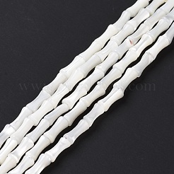 Natural Trochus Shell Beads Strands&nbsp;SSHEL-H070-04