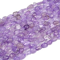 天然ラベンダーアメジストビーズ連売り  ナゲット  タンブルストーン  8~13x8~10x3~8mm  穴：1mm  約49~50個/連  15.55~15.75''（39.5~40センチメートル）&nbsp;G-Q060-E16