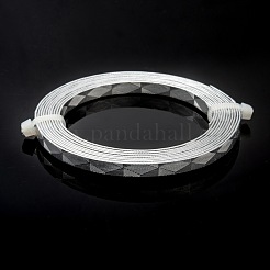 テクスチャード加工されたアルミニウムワイヤー  曲げ可能なメタルクラフトワイヤー  フラットクラフトワイヤー  カボションフレーミング用ベゼルワイヤー  銀  18ゲージ  5x1mm  約6.56フィート（2m）/ロール&nbsp;X-AW-R008-2m-01