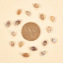 穴のないスパイラルシェルビーズ  レモンシフォン  7~12x3~7x3~7mm  約1400~1500個/箱&nbsp;SSHEL-YW0001-01