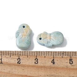 Natural Rainbow Alashan Agate Pendants&nbsp;G-G194-07C