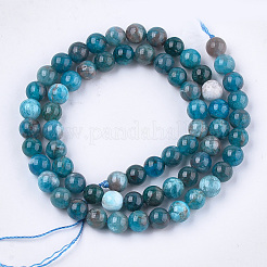 Natural Apatite Beads Strands&nbsp;G-S333-6mm-031