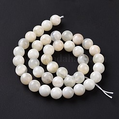 Natural White Moonstone Beads Strands&nbsp;G-F674-08-10mm-01