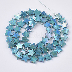 Freshwater Shell Beads Strands&nbsp;SHEL-N026-08F