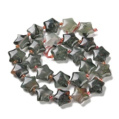 Natural African Bloodstone Beads Strands&nbsp;G-NH0005-003