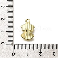 Alloy Pendants&nbsp;FIND-U023-01G-02