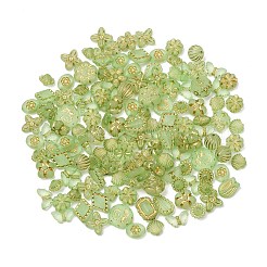 つや消し透明なアクリルビーズ  金色の金属製ビーズ  混合図形  黄緑  8~25x8~25x4~45mm  穴：1.2~1.6mm&nbsp;OACR-Z041-05