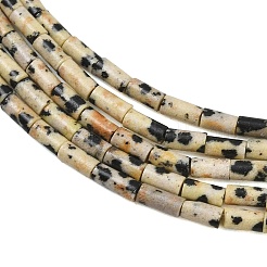 Natural Dalmatian Jasper Beads Strands&nbsp;GG-CBAED3F-A04