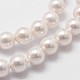 シェルパールビーズ連売り  グレードA  ラウンド  ホワイト  4mm  穴：1mm  約95個/連  16インチ&nbsp;BSHE-L025-01-4mm-3